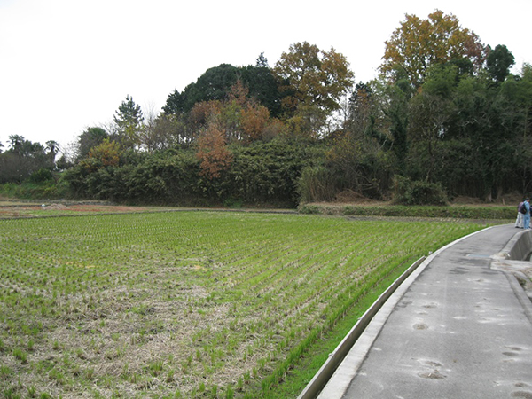 夕倉遺跡第２次調査地点の丘陵（北西から）