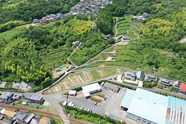 調査区全景（南東から）