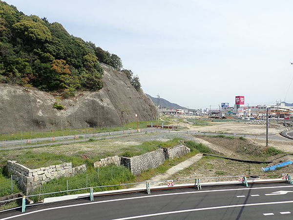 調査前の状況（山裾の道路部分が調査範囲）