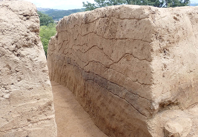 第３号古墳　墳丘土層断面（西から）