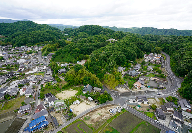 空中写真（西から）