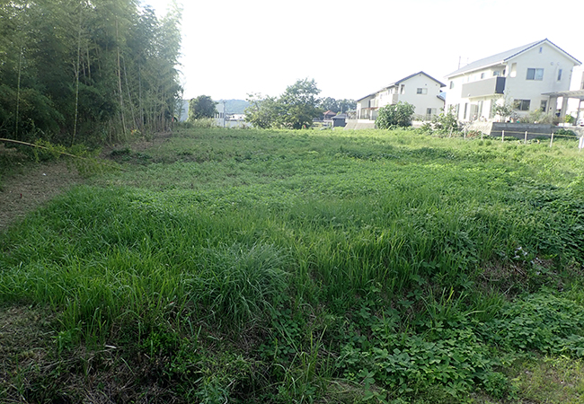 調査前（東から）