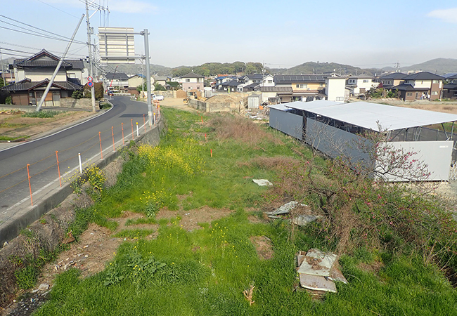 調査前近景（西から）