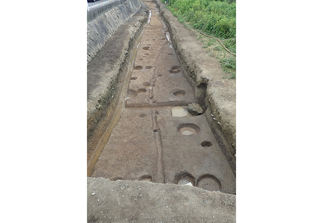 溝状遺構と柱穴群（西から）