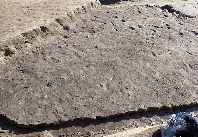 3区南　柵列（西から）